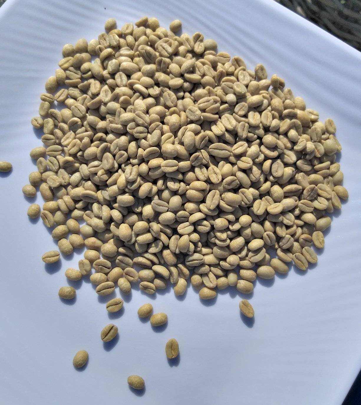 Coffee Beans