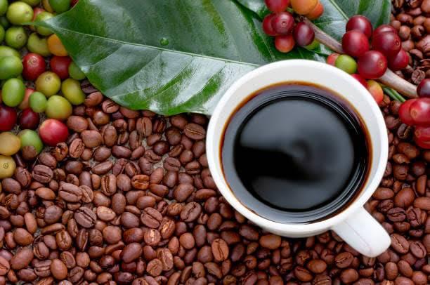 Coffee Processing