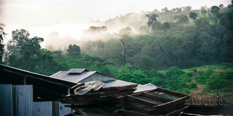 DOGO COFFEE Export